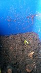 20160415_081603.jpg