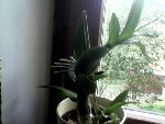 Photo044.jpg