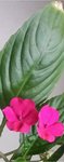 20160317_073350e.jpg