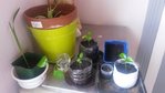 20160415_190840.jpg