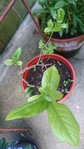 DSC_1150.JPG