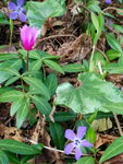 IMG_20160416_124706.jpg