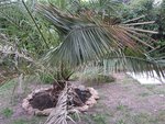 IMG_4059.JPG