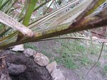 IMG_4065.JPG