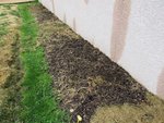 La planche à pomme de terre.<br />Elle fait 10 m de long.
