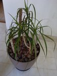 DSC05859.JPG
