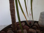 DSC05860.JPG