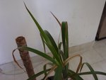 DSC05862.JPG
