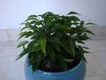 DSC05864.JPG