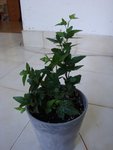 DSC05873.JPG
