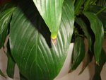 DSC05876.JPG