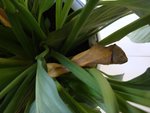 DSC05879.JPG