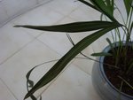 DSC05893.JPG