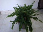 DSC05883.JPG