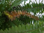 DSC05885.JPG