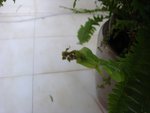 DSC05888.JPG