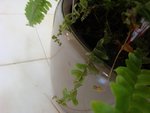 DSC05889.JPG