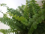 DSC05884.JPG