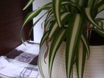 DSC05903.JPG
