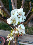 IMAG0998.jpg