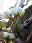 IMAG0999.jpg