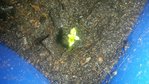20160418_092131.jpg