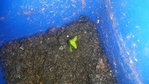 20160418_092037.jpg