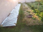 L'aspect du jardin au 19 avril.