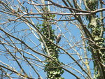 DSCF2373.jpg