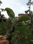 DSCF0861.JPG