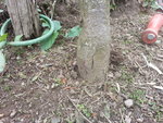 20160419_135208.jpg