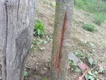 20160419_135222.jpg