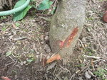 20160419_135342.jpg
