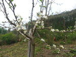 20160419_135400.jpg