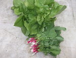 DSCF2376.jpg