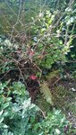 WP_20160325_001.jpg