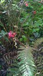 WP_20160325_007.jpg