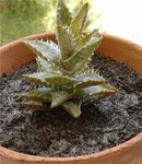 20160424_143258.jpg