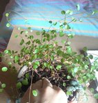 IMG_20160425_234502.JPG