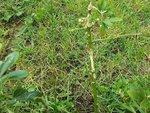 20160424_174502.jpg
