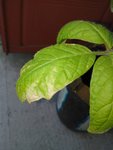 IMG_20160428_091438.jpg