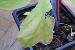 IMG_20160428_092146.jpg