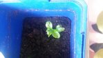20160429_085418.jpg