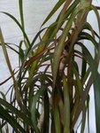 IMG_20160429_124318.jpg