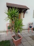 DSC01600.JPG