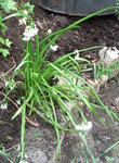 DSCF2078.JPG