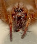 30.04.2016Lumix_19.jpg
