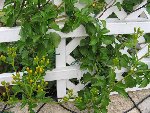 img_7912.jpg
