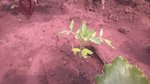 WP_20160503_007.jpg