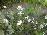 PICT6852.JPG